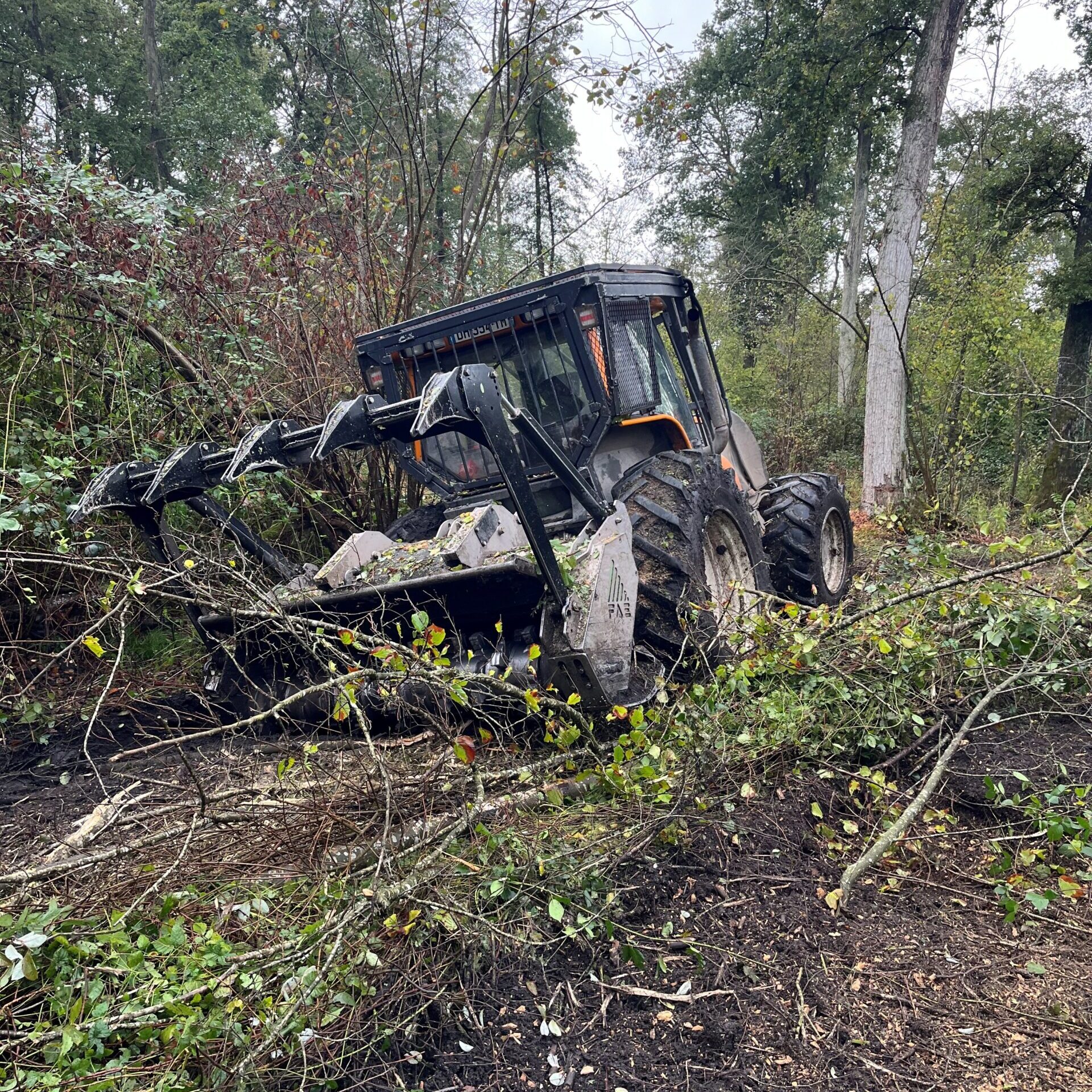 Travaux de défrichage